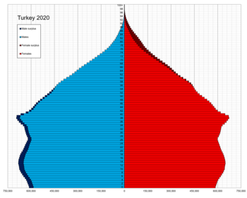 Turkey single age population pyramid 2020.png