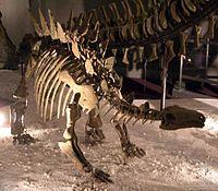 Chungkingosaurus jiangbeiensis.jpg