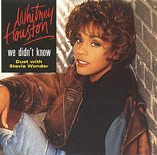 WhitneyHouston StevieWonder WeDidntKnow.jpg