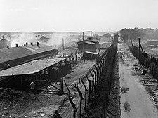 The Liberation of Bergen-belsen Concentration Camp, April 1945 BU4711 (cropped).jpg