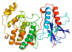 Protein MAPK14 PDB 1a9u.png
