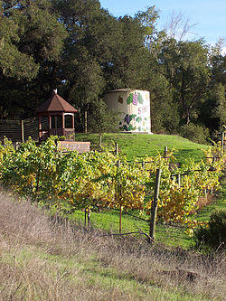 Shiloh Hill Vineyard in Chalk Hill.jpg