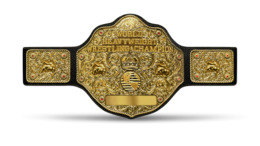 A professional wrestling championship belt with a roughly circular golden front plate