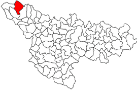 Location in Timiș County