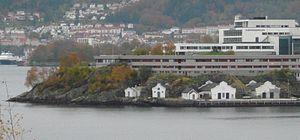 Wallemsviken.jpg