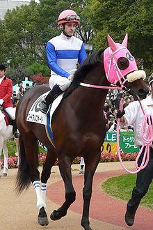 Christophe-Lemaire.jpg