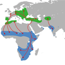 WhiteStorkMap.svg