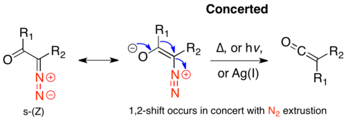Concerted mechanism from the s-cis conformation.