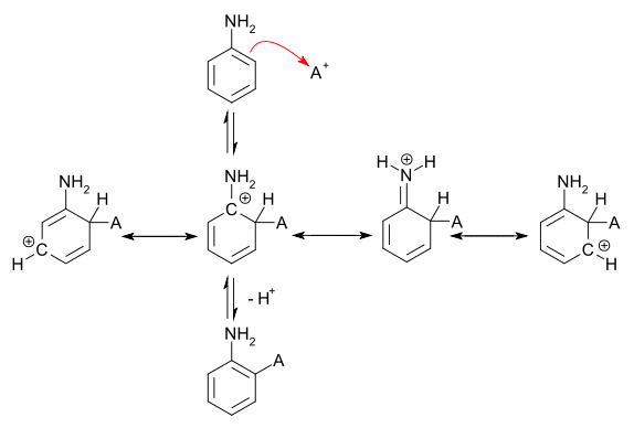 resonance structures for ortho attack of an electrophile on aniline
