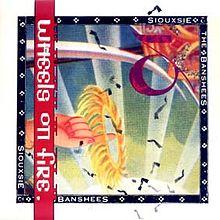 Siouxsie This wheels on Fire.jpg