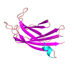 4ihb pdb.png