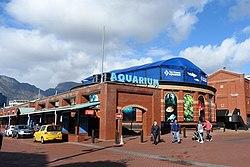 Two Oceans Aquarium CT jeh.jpg