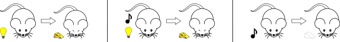 Classical conditioning - blocking.svg