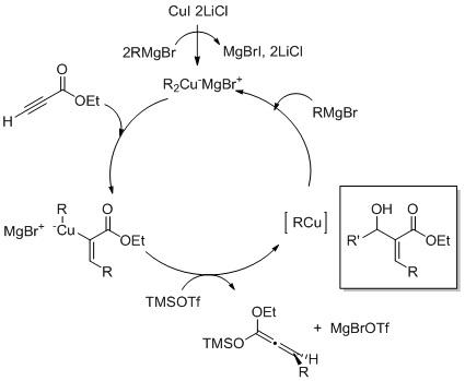 Carbocupration mechanism