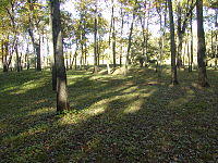 Effigy Mounds Iowa Sny Magill.JPG