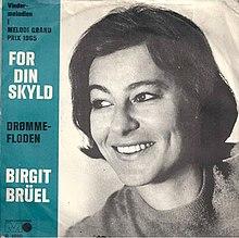 Birgit Brüel-For din skyld.jpg