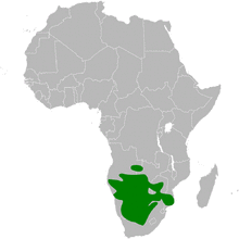 Calendulauda africanoides distribution map.png