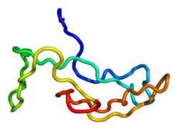 Protein CGA PDB 1dz7.png