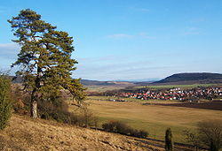 General view of Wiesenthal