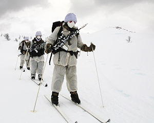 Royal Marine Reservists Training in Norway MOD 45156923.jpg