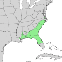 Quercus laevis range map 1.png