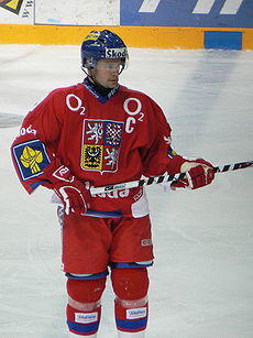 Radek Hamr.jpg