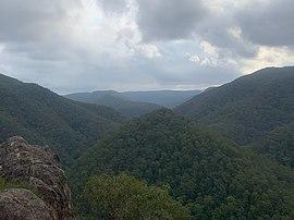 Cabbage Tree Lookout, Grose Vale.jpg