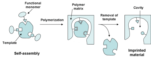 Preparation of molecularly imprinted material