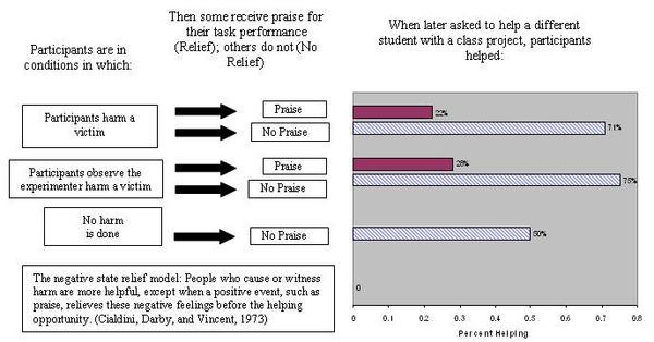 Negative State Relief Model