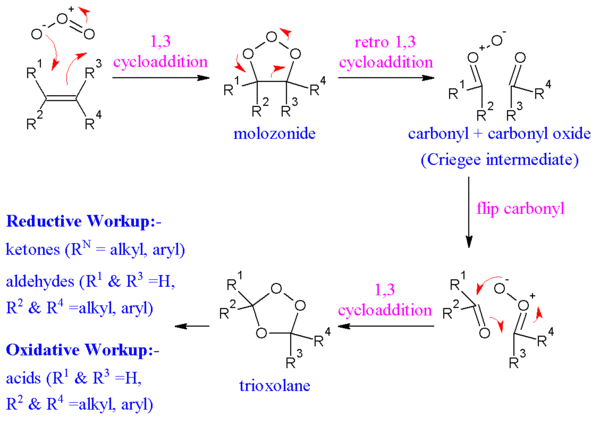 The reaction mechanism of ozonolysis.