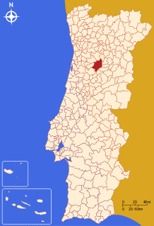 LocalViseu.svg
