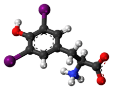 Ball-and-stick model of the diiodotyrosine molecule as a zwitterion