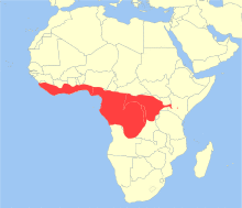 Perodicticus potto distribution.svg