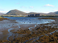 Leverburgh housing - geograph.org.uk - 1035376.jpg