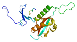 Protein PIN1 PDB 1f8a.png