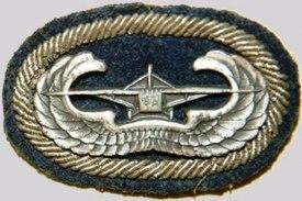 US Army Glider Badge with Background Trimming.jpg