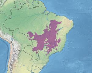 Ecoregion NT0704.svg