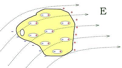 Electric polarization effect.jpg