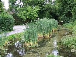 Nine Mile River, Bulford - geograph.org.uk - 896971.jpg