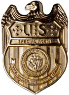 Badge of an NCIS Special Agent