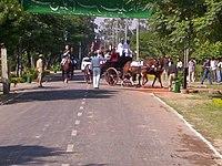 Welcome Reception (AMU Aligarh) - panoramio.jpg