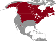 Microtus pennsylvanicus range map.png