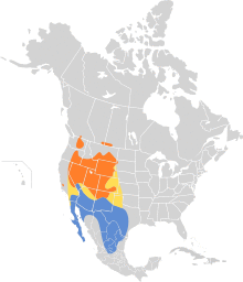 Oreoscoptes montanus map.svg