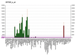 PBB GE MBP 207323 s at fs.png