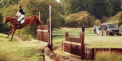 Foxpitt3.jpg
