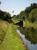 Tame Valley Canal and heron.jpg