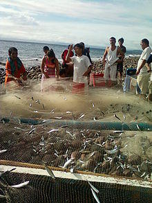 Fishing in Romblon.jpg