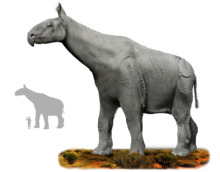 Indricotherium.jpg