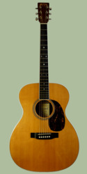 C.F. Martin GRH 160 or 000-16RGT cropped.png