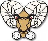 Richmond Hill Rams (GMHL).jpg